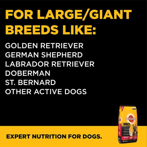 Pedigree PRO Expert Nutrition, Dry Dog Food for Active Adult Dogs (18 Months Onwards) - 10 kg Pack