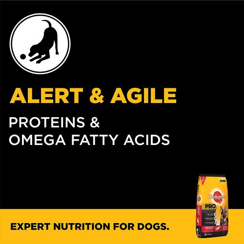Pedigree PRO Expert Nutrition, Dry Dog Food for Active Adult Dogs (18 Months Onwards) - 10 kg Pack