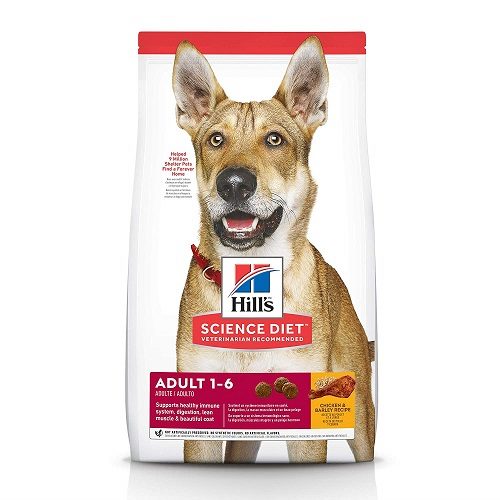 Hills Science Diet Adult Advanced Fitness, Small Bites Chicken and Barley Recipe Dry Dog Food, 15 KG Pack at Best Price