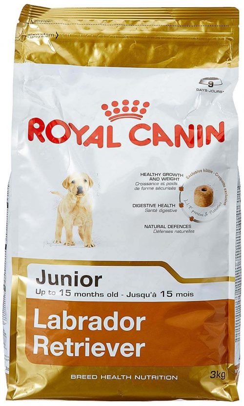 Royal Canin Labrador Junior, 3 kg 1
