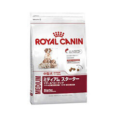 Royal Canin Medium Starter 1 KG Pack Dog Food at Best Price