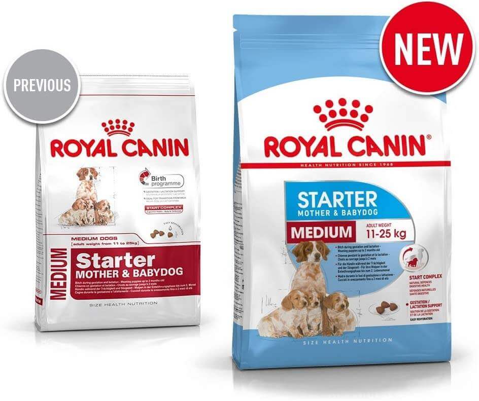 royal canin starter 4 kg