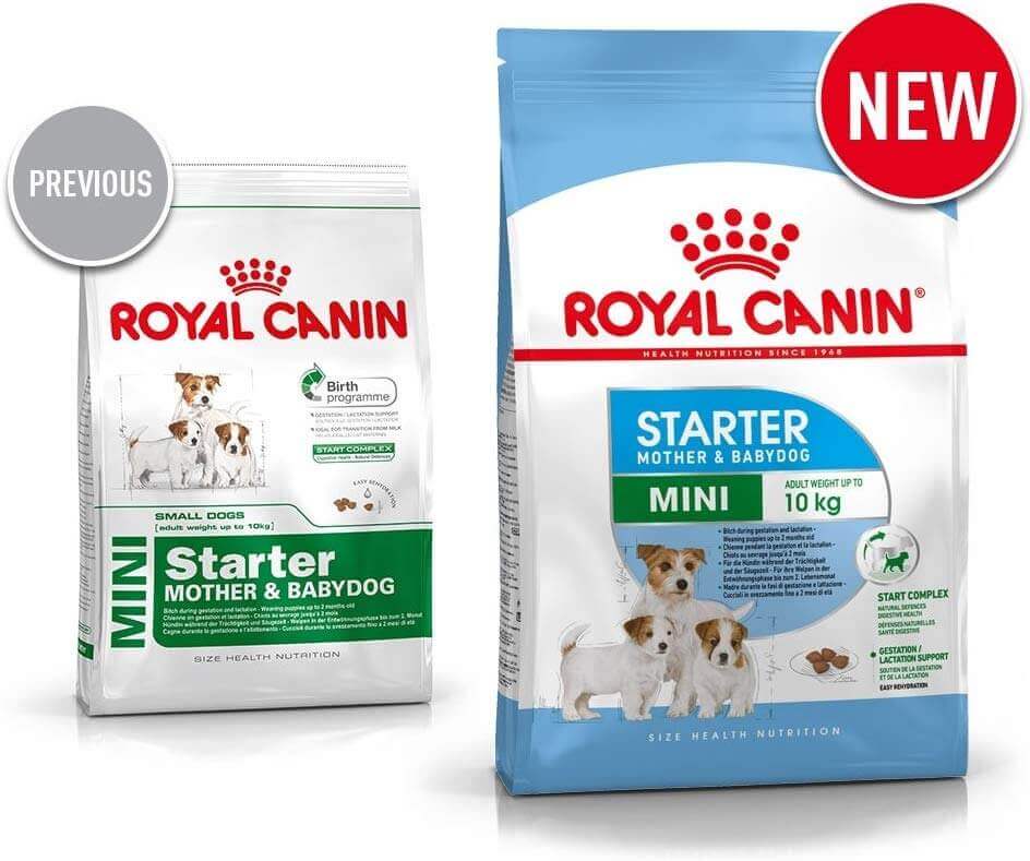 royal canin mini starter 1 kg