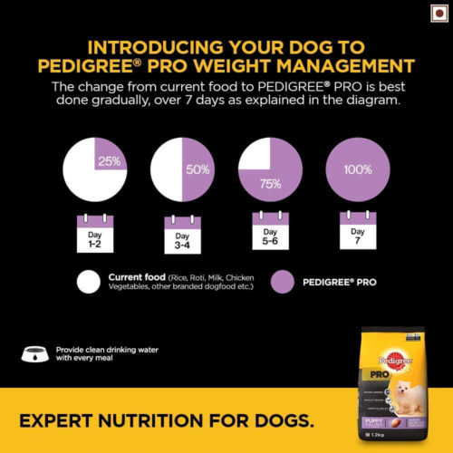 When to introduce Pedigree PRO Expert Nutrition Small Breed Puppy Dry Dog Food