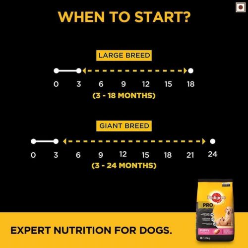 When to start Pedigree PRO Expert Nutrition Large Breed Puppy Dry Dog Food