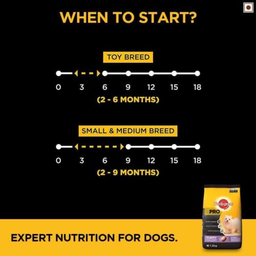 When to start Pedigree PRO Expert Nutrition Small Breed Puppy Dry Dog Food